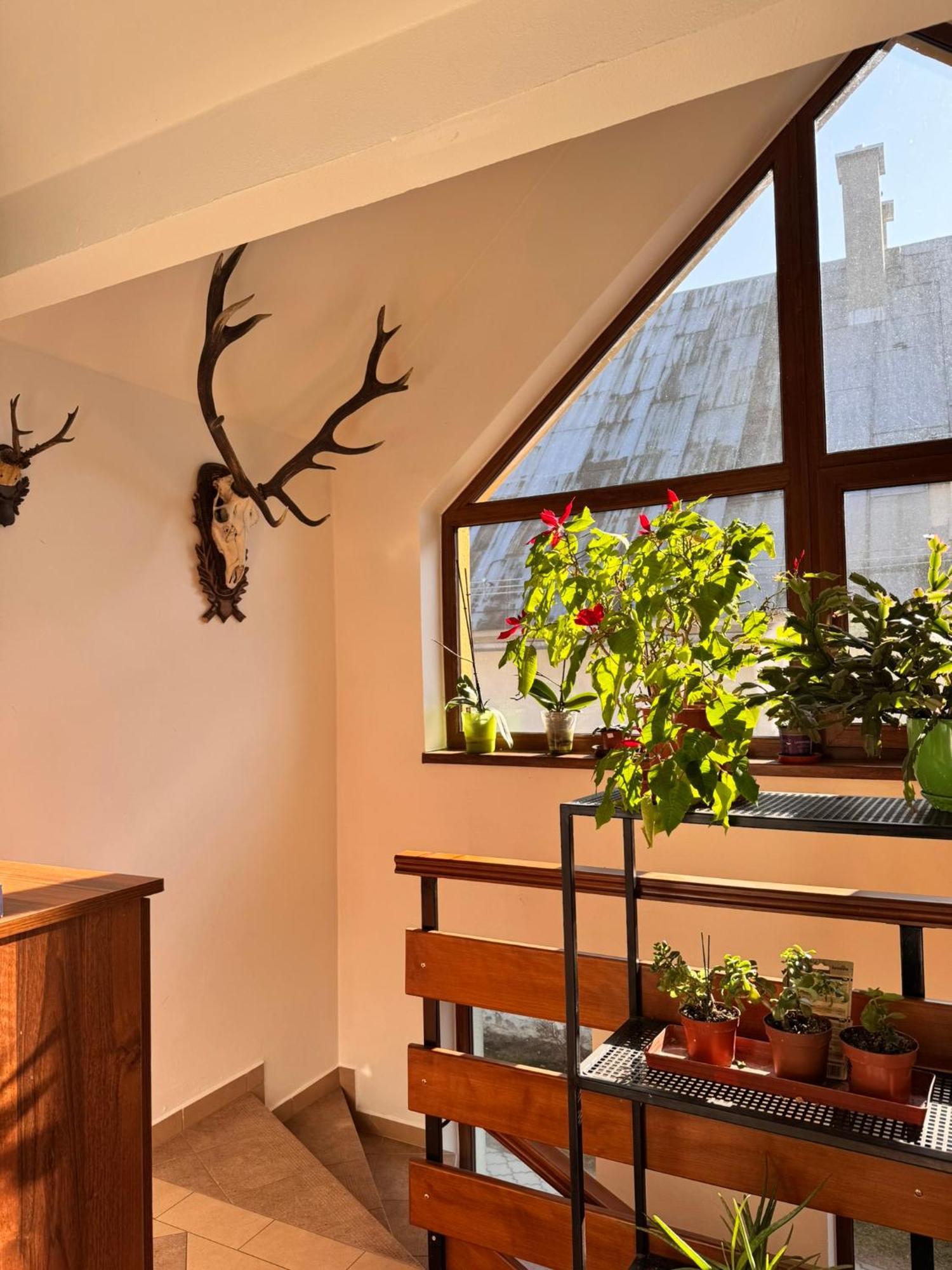 Apartmany Kenka Spisska Stara Ves Exterior photo